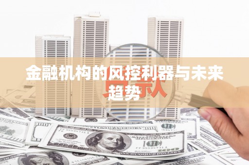 皋兰金融机构的风控利器与未来趋势
