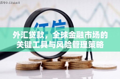 皋兰外汇贷款，全球金融市场的关键工具与风险管理策略