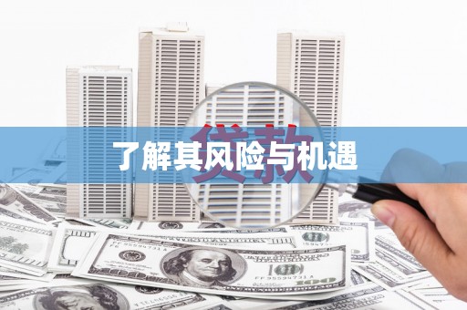 皋兰了解其风险与机遇
