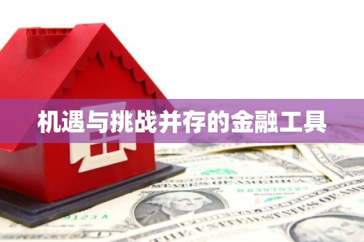 皋兰机遇与挑战并存的金融工具
