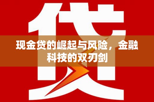 皋兰现金贷的崛起与风险，金融科技的双刃剑
