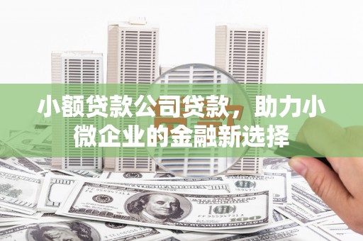 皋兰小额贷款公司贷款，助力小微企业的金融新选择