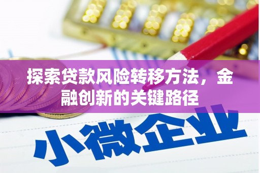 皋兰探索贷款风险转移方法，金融创新的关键路径