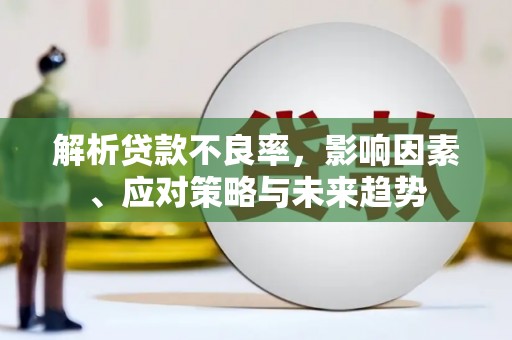 皋兰解析贷款不良率，影响因素、应对策略与未来趋势