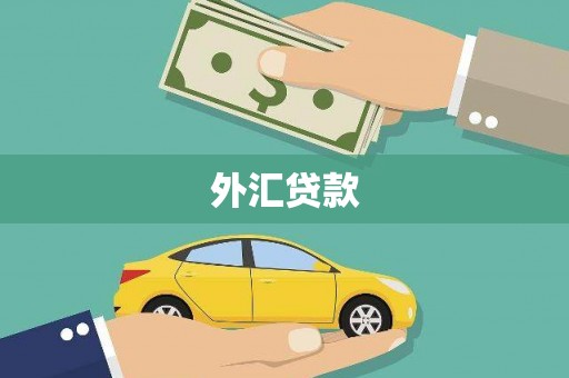 皋兰外汇贷款