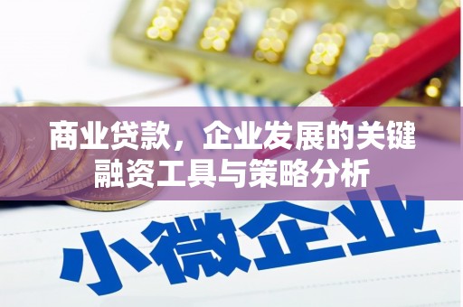 皋兰商业贷款，企业发展的关键融资工具与策略分析