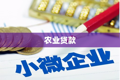 皋兰农业贷款