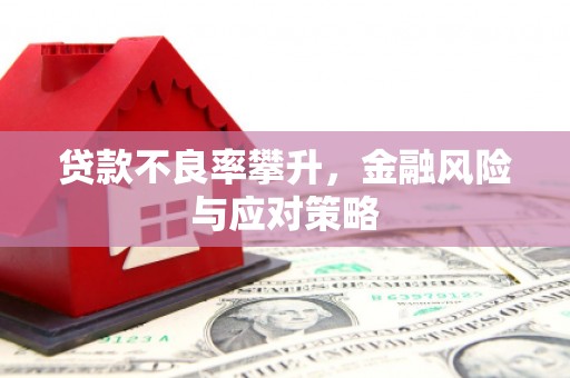 皋兰贷款不良率攀升，金融风险与应对策略