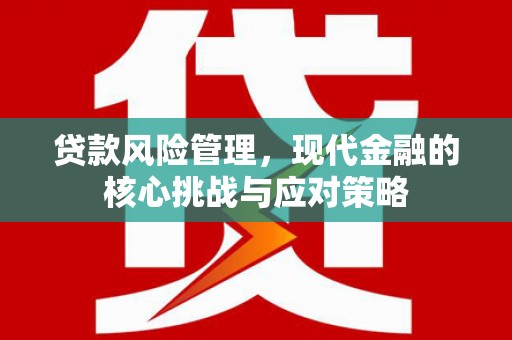 皋兰贷款风险管理，现代金融的核心挑战与应对策略