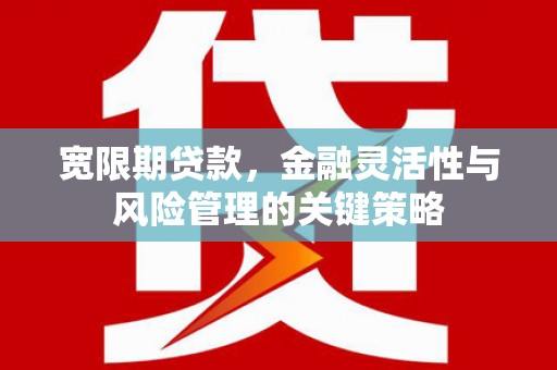 皋兰宽限期贷款，金融灵活性与风险管理的关键策略