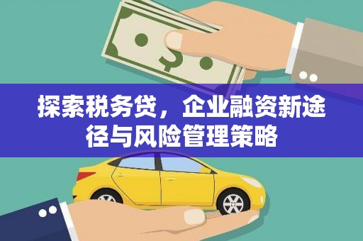 皋兰探索税务贷，企业融资新途径与风险管理策略