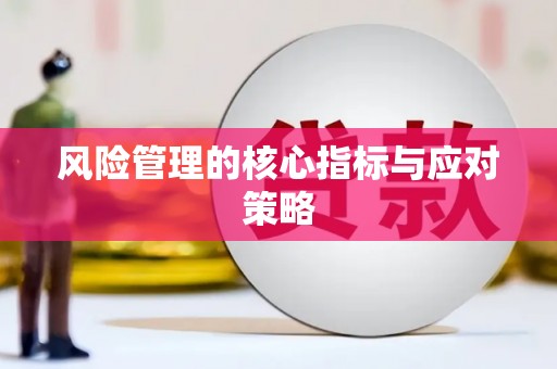 皋兰风险管理的核心指标与应对策略