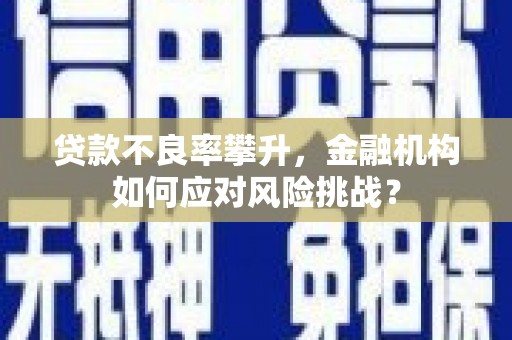 皋兰贷款不良率攀升，金融机构如何应对风险挑战？