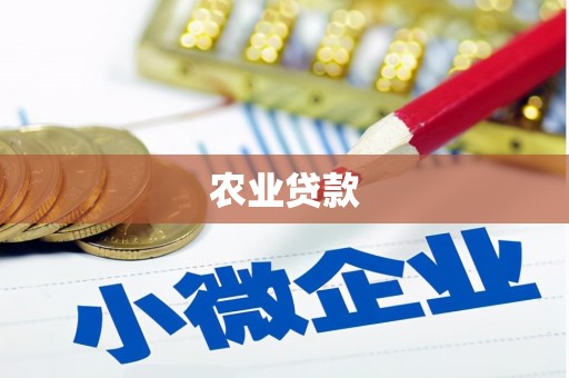 皋兰农业贷款