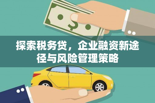 皋兰探索税务贷，企业融资新途径与风险管理策略