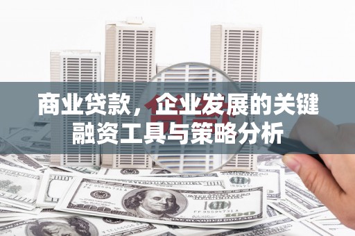皋兰商业贷款，企业发展的关键融资工具与策略分析