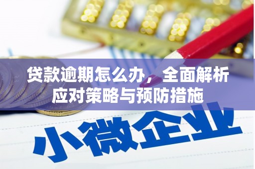 皋兰贷款逾期怎么办，全面解析应对策略与预防措施