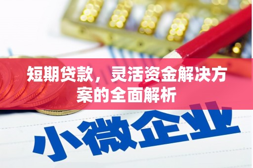 皋兰短期贷款，灵活资金解决方案的全面解析