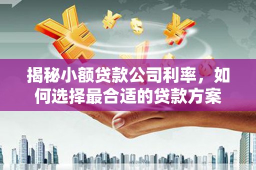 皋兰揭秘小额贷款公司利率，如何选择最合适的贷款方案