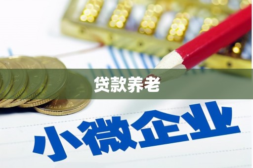 皋兰贷款养老