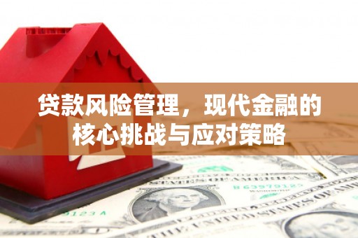 皋兰贷款风险管理，现代金融的核心挑战与应对策略