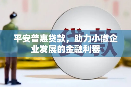 皋兰平安普惠贷款，助力小微企业发展的金融利器