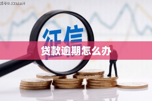 皋兰贷款逾期怎么办