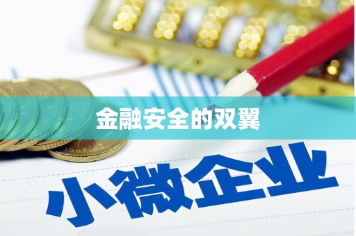 皋兰金融安全的双翼
