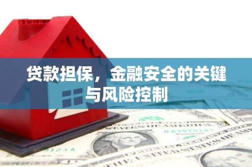 皋兰贷款担保，金融安全的关键与风险控制