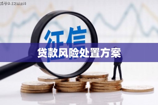 皋兰贷款风险处置方案