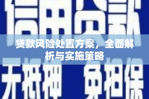 皋兰贷款风险处置方案，全面解析与实施策略